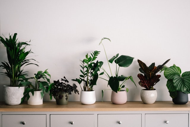 interior design trends, Interior Design Trends To Look Out For In 2022